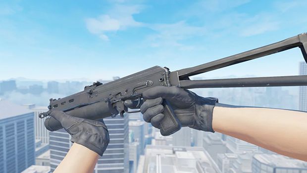 PP-Bizon-CS2 PP-Bizon-CS2